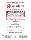 Snow Birthday Party